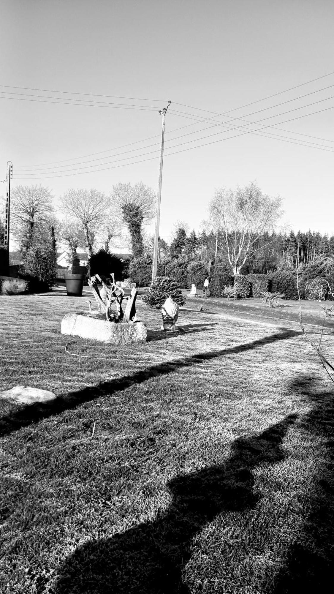 Gite En Campagne Lamegritniere Exterior photo