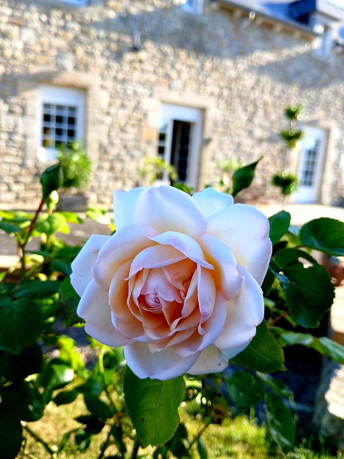 Gite En Campagne Lamegritniere Exterior photo