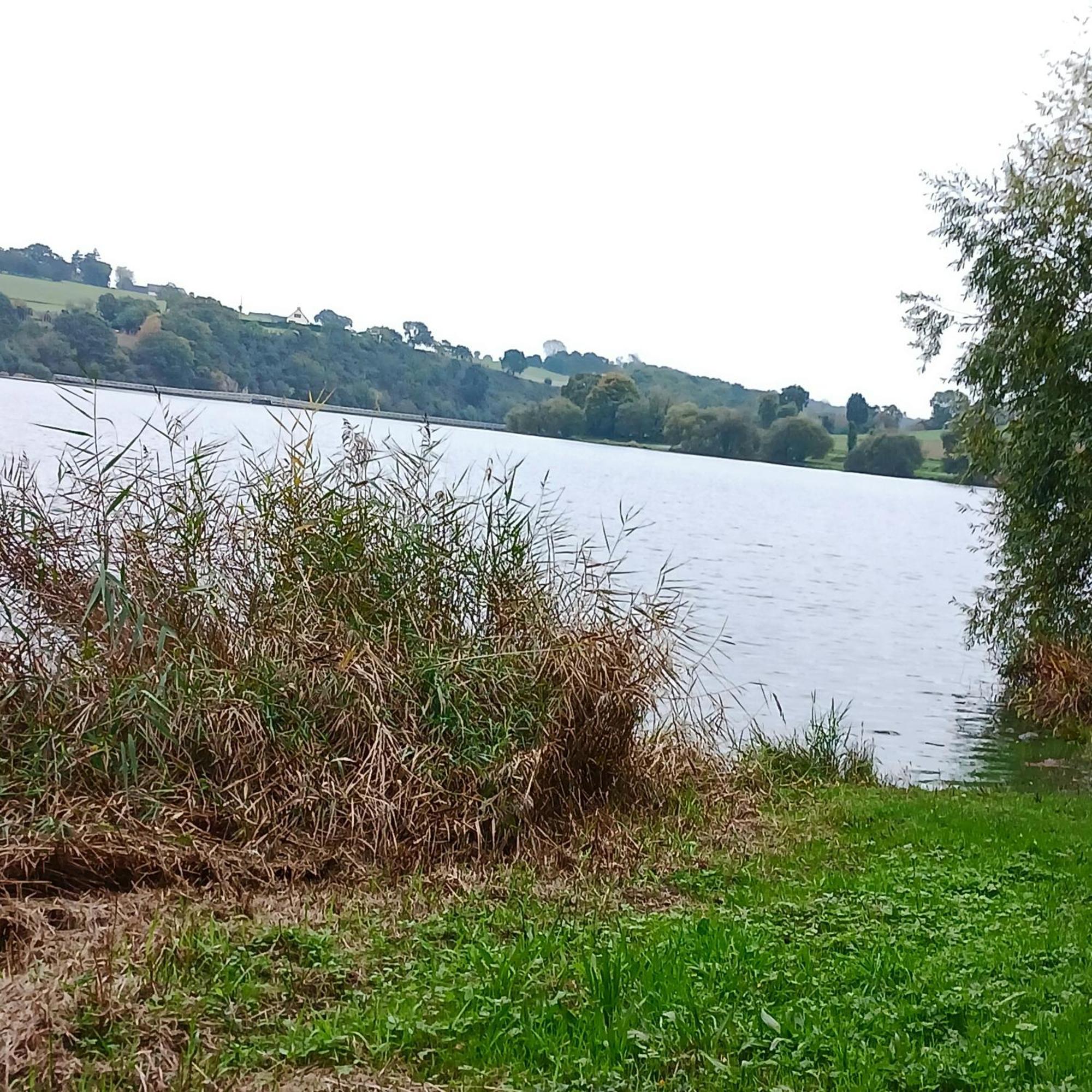 Gite En Campagne Lamegritniere Exterior photo