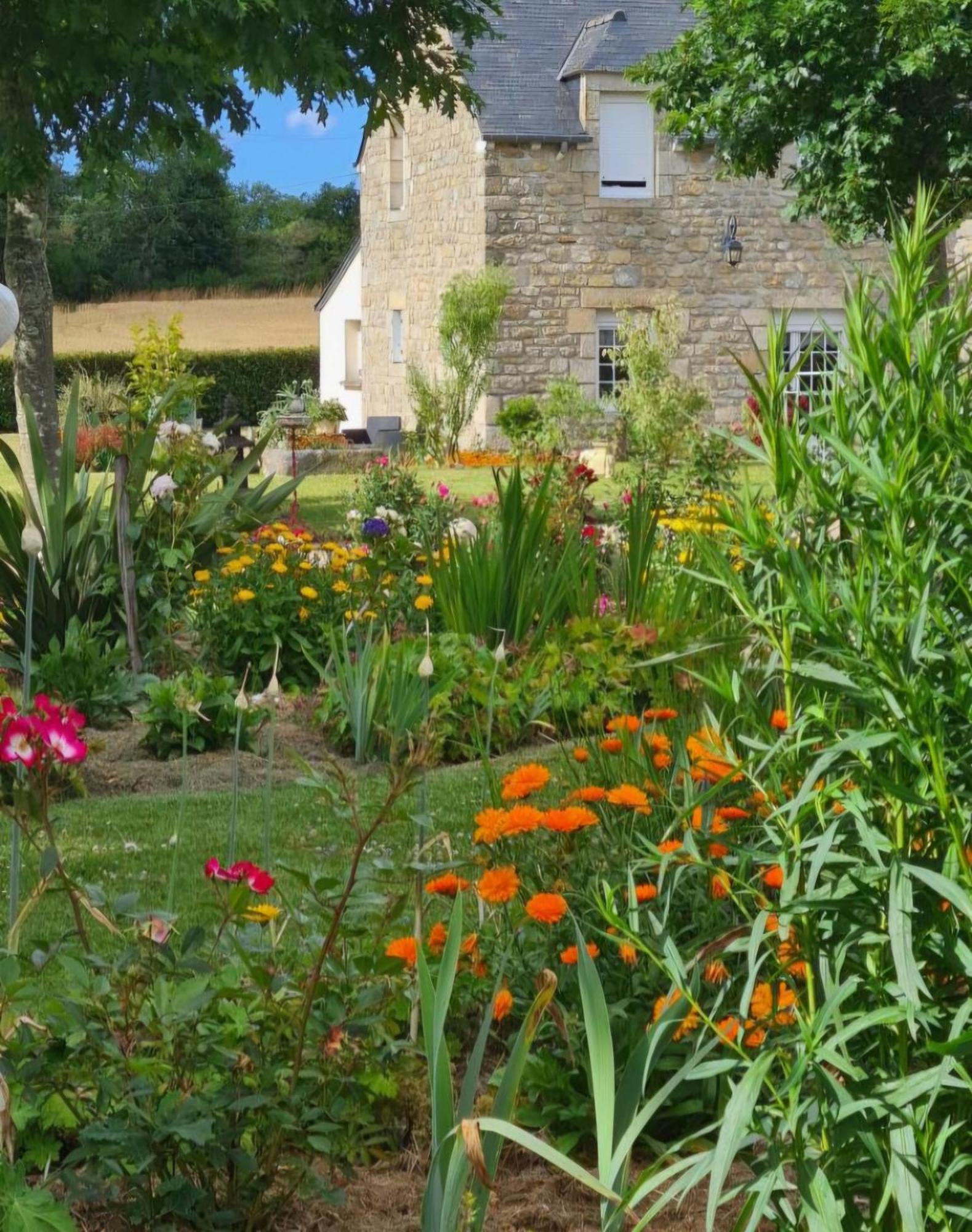 Gite En Campagne Lamegritniere Exterior photo
